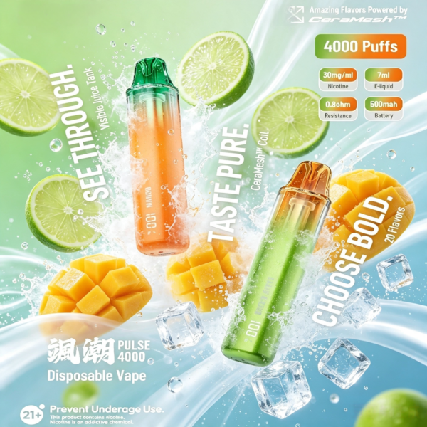 冰熊ZGAR Plus 4000颯潮 冰熊ZGAR Plus 4000颯潮