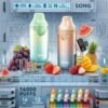 SONG 崧 A55 冰極系列 16000口 一次性霧化設備