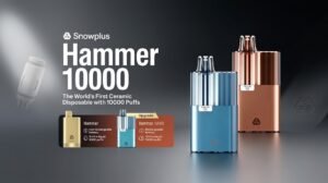 雪加大板磚10000口