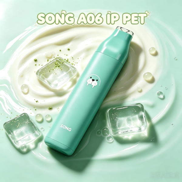 SONG A06 IP PET Type‑C可充電