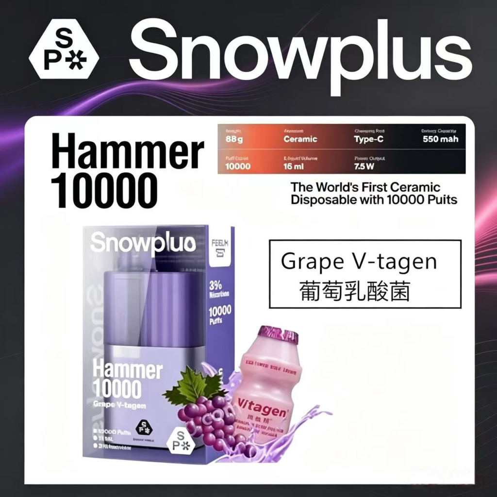 SnowPlus 雪加大板磚 TYPE-C充電