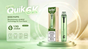 KS QUIK 6000 Puffs 大容量