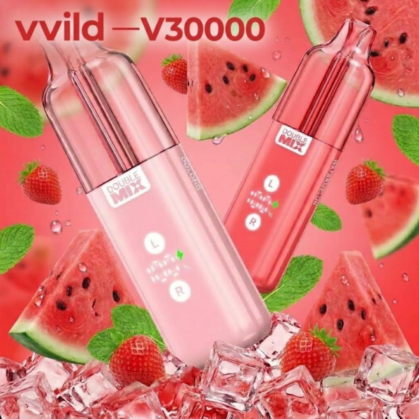 VVILD 小野 V30000 雙倉雙口味